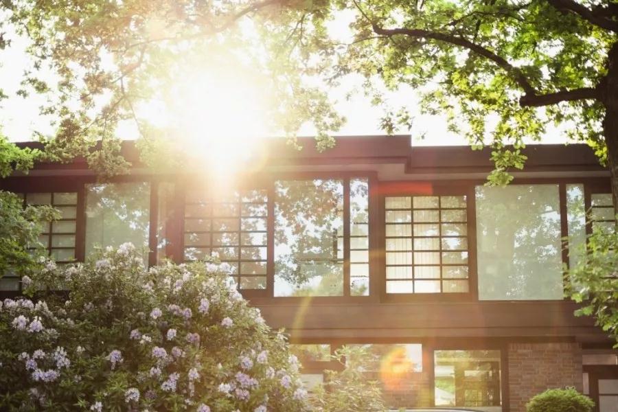 EVO视讯集团倾力打造洛北千亩理想之境