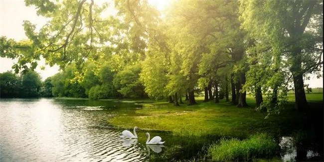 EVO视讯红瞰花园洋房